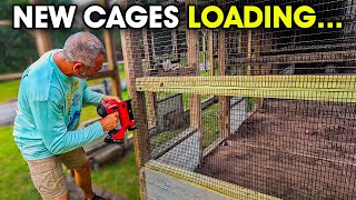 Screening some new cages! by Wolfe's World 5,522 views 6 days ago 17 minutes