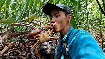 Mưu Sinh Bằng Nghề Bắt Cua Biển Rừng Cần Giờ | Sự Mệt Mổi Khi Đối Đầu Với Đàn Mũi