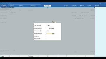 auto receipt in sales entry tdl