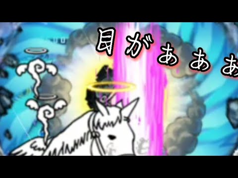 絶暴風渦コンボ別2枠【にゃんこ大戦争】