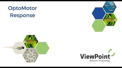 OMR - Opto Motor Response in zebrafish and larval zebrafish