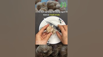 Bất Ngờ Công Dụng Chữa Sốt Rét Của Tỏi | Mẹo Dân Gian