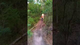 Hoverair X1 Promax Flies Itself Down My New Trail