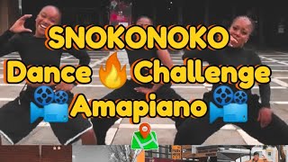 Snokonoko Amapiano Dance Challenge 