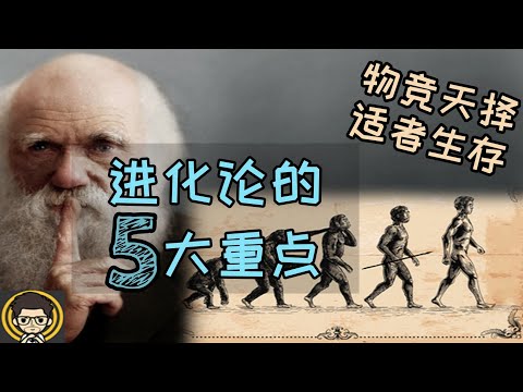 物種起源 - 達爾文進化論的五大重點