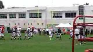 Brady Quinn in NFL Practice
