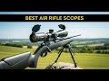 4 Best Air Rifle Scopes in 2026