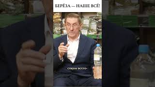 О пользе берёзового сока #травы #фитотерапия