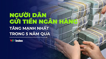 [TÀI CHÍNH KINH DOANH] Người dân gửi tiền ngân hàng tăng mạnh nhất trong 5 năm qua | VTVIndex