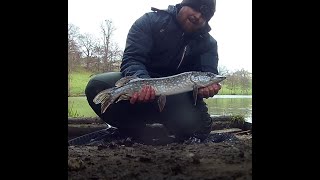 End of Pike Season at Newton Park 20/21!