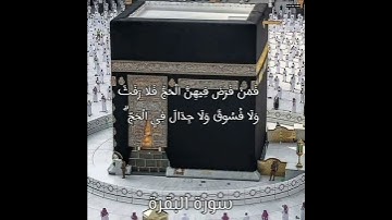 [ الحج أشهر معلومات ] تلاوة جمیلة ــ سورة البقرة ــ رعد الكردي