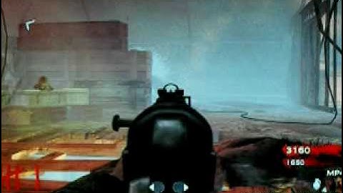 cod 5 shi no numa dog glitch