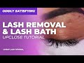 Oddly Satisfying - Lash Removal & Deep Cleaning Lash Bath
