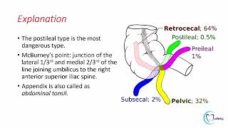 MCQs on GIT Anatomy with explanations | Dentophile | Anatomy screenshot 4