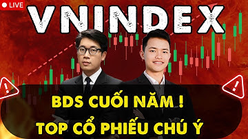 VNINDEX Cuối Năm: Xu Hướng BĐS và Top Cổ Phiếu Nên Chú Ý