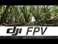 First flights with DJI FPV Motion Controller - Anyone can fly this amazing drone!