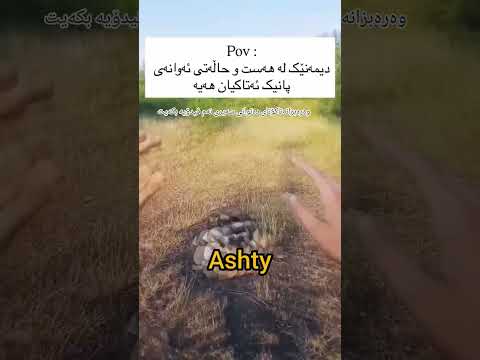 بزانە دەتوانی هەتاکۆتای سەیربکەیت      