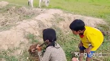 Wow Amazing children catch a big snake with bare hand how to catch snake in cambodia 2017