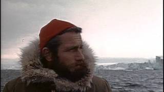 26 1974 Кусто в Антарктике  Часть I  Огонь и лед - Подводная одиссея команды Кусто