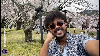 VoicePlay's Cesar de la Rosa in Japan! - Part 1   セザール・デ・ラ・ロサは日本で休暇中です！