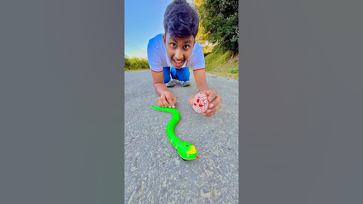 16 Inch Remote Control Rattle Snake #rcsnake #ruhulshorts