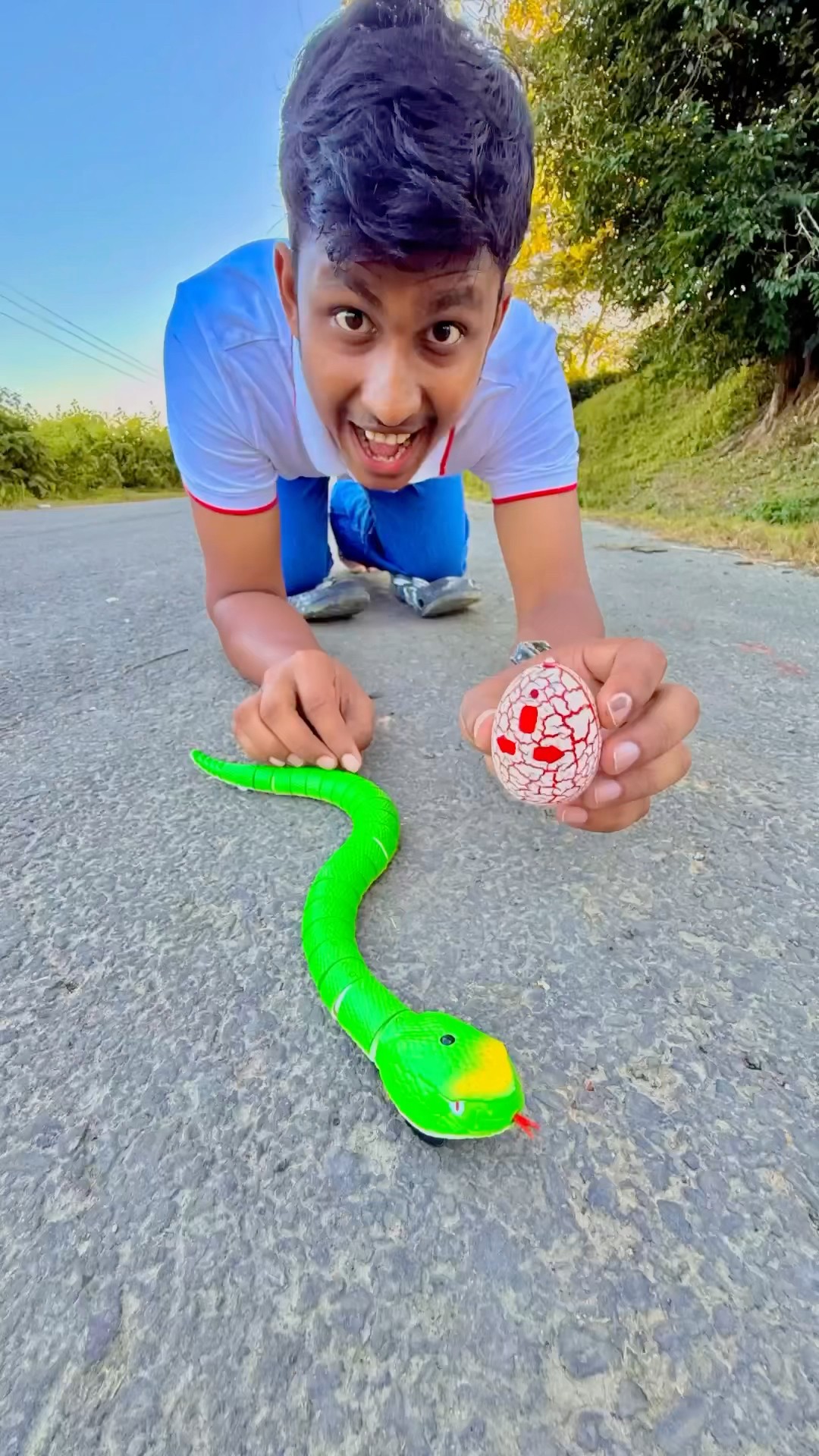 16 Inch Remote Control Rattle Snake #rcsnake #ruhulshorts