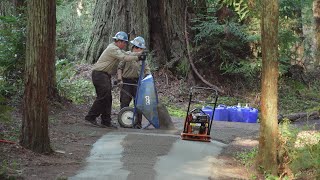 Rebuilding Eureka's Sequoia Park Trail