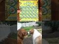 Bonus 9's Scratch Lotto Ticket