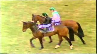 1986 Grand National Aintree West Tip