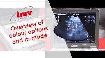 How to use the Mindray M6 video 5 - Basic overview of colour options and m mode