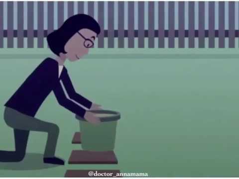 Фейерверки: безопасность
