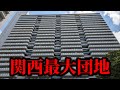 【デカすぎ】関西最大規模の団地の圧倒的スケールに慄いて号泣してしまいました！
