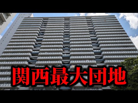 【デカすぎ】関西最大規模の団地の圧倒的スケールに慄いて号泣してしまいました！