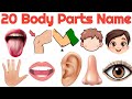20 शरीर के अंग सीखे बच्चों के लिए|Learn 20 Body Parts Name For kids With Pictures