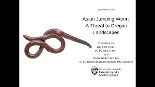 Jumping Worms: A Threat to Oregon Landscapes