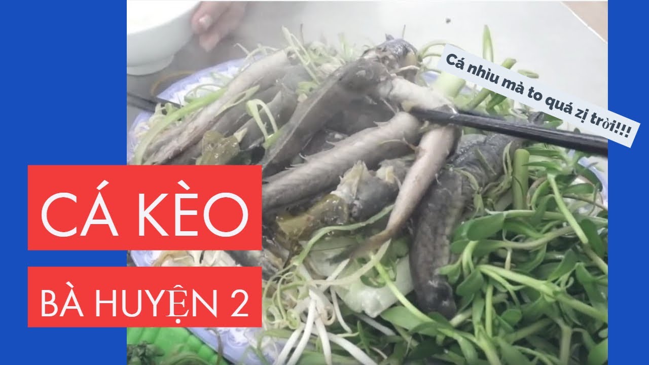 lẩu cá kèo ngon ở sài gòn  2022 Update  Saigon Vlog #1: Cá kèo đầy ấp cái nồi | Lẩu cá kèo Bà Huyện 2 | REVIEW chi tiết