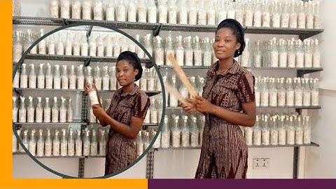 Mushroom Spawn. Inspection and removal of contaminated mushroom seeds.