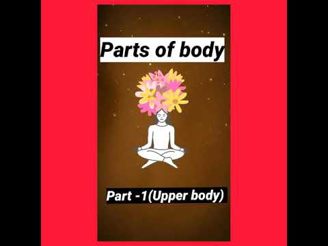 Parts of body (part--1).Upper body. - YouTube