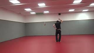 Spring Time Reflections