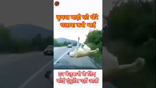 Please drive carefully for animals safety #shorts #animallover #petlover #animals #pets #doglover