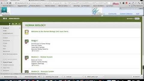 Adding content to your Blackboard course