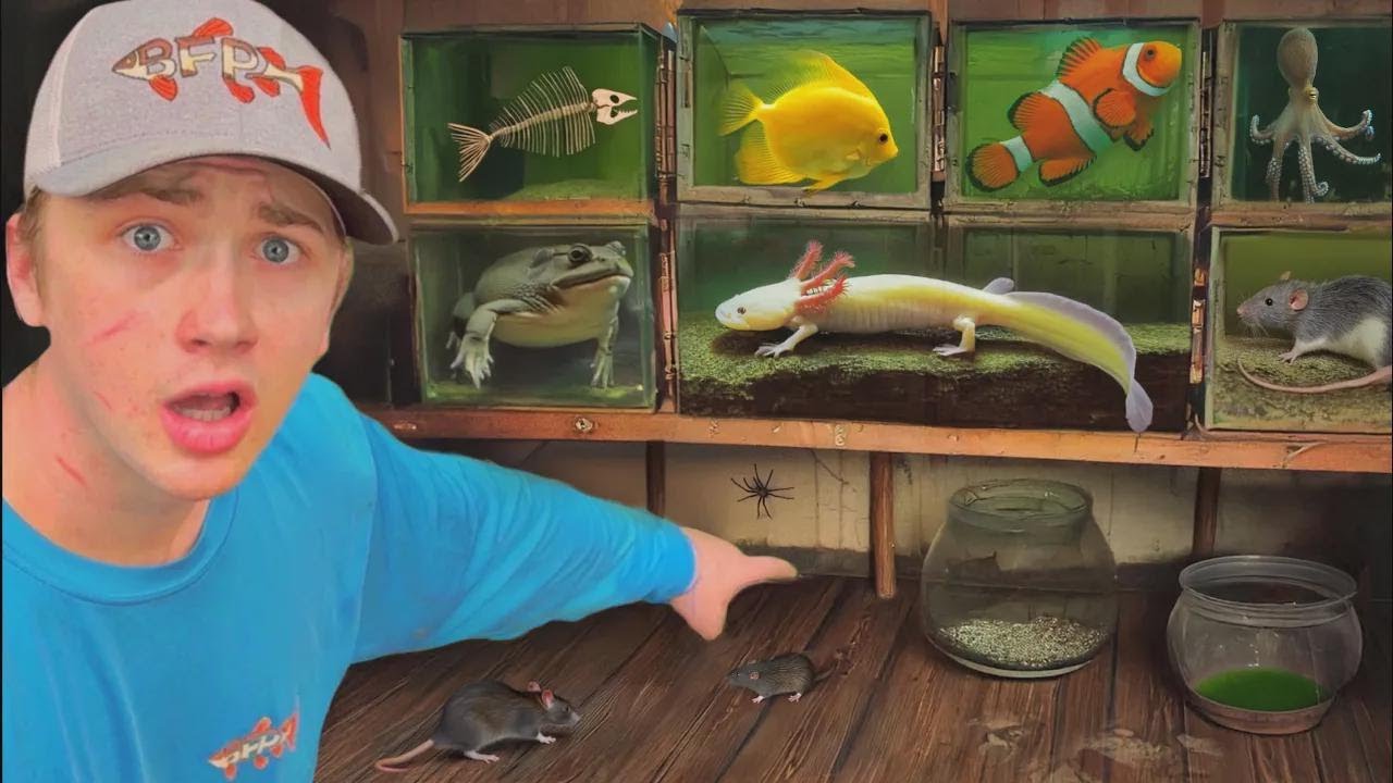 Βρήκα ένα εγκαταλελειμμένο σπίτι γεμάτο ζώα!