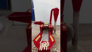 Process vegetable grinder for animal feed