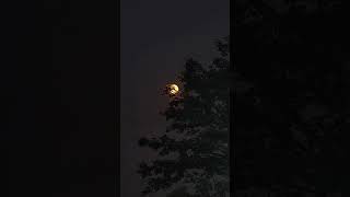 #moon #beautiful #view #asthatic