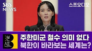 [3분스프] '주한미군 철수'도 별 것 아니다?… 북한이 바라보는 세계는 / 스프 오디오 / SBS