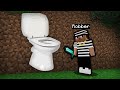 The Great Minecraft Toilet Heist