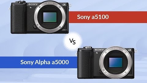 So sánh máy ảnh sony a5100 và a6000 năm 2024