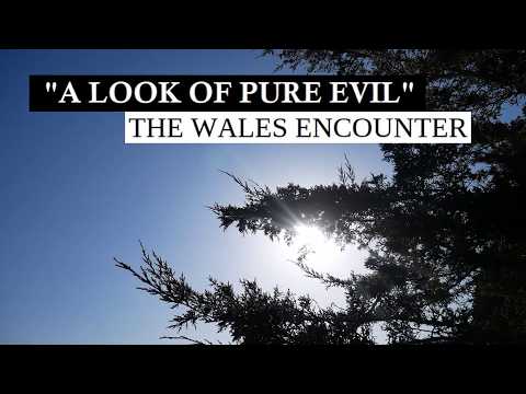 “A Look of Pure Evil” - The Wales Encounter | Paranormal Stories