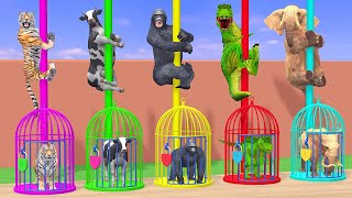 Cow Elephant Tiger Gorilla Dinosaur Guess The Right Key ESCAPE ROOM CHALLENGE Animals Cage Game