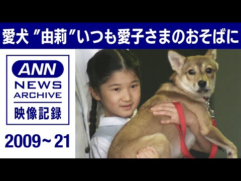 《愛子さまが命名》愛犬“由莉”いつも愛子さまのおそばに(2009～2021年)【皇室】【映像記録　news archive】